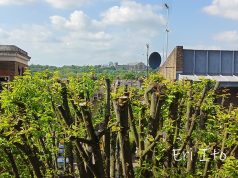 MotoGP取材紀行|ロンドンのリス